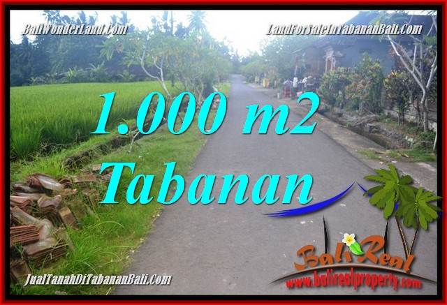 DIJUAL MURAH TANAH di TABANAN 10 Are di Tabanan Selemadeg Timur