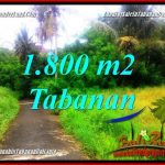 JUAL TANAH di TABANAN BALI 18.5 Are di Tabanan Selemadeg