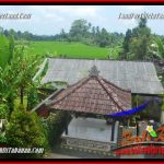 TANAH DIJUAL di TABANAN BALI 200 m2 di Tabanan Penebel