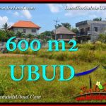 INVESTASI PROPERTY, TANAH MURAH di UBUD BALI TJUB664