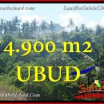 TANAH di UBUD BALI DIJUAL MURAH TJUB665