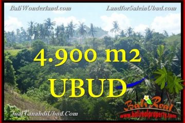 TANAH di UBUD BALI DIJUAL MURAH TJUB665