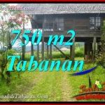 JUAL MURAH TANAH di TABANAN BALI 750 m2 view Kebun dan Gunung