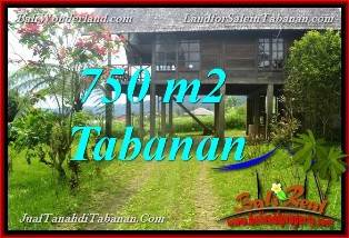 JUAL MURAH TANAH di TABANAN BALI 750 m2 view Kebun dan Gunung