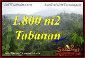 INVESTASI PROPERTY, JUAL TANAH DI TABANAN TJTB379