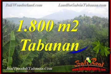 INVESTASI PROPERTY, JUAL TANAH DI TABANAN TJTB379