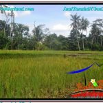 JUAL TANAH di UBUD 10 Are View Sawah dan Sungai Kecil, Link. Villa