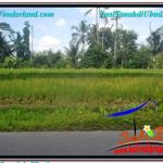 TANAH MURAH di UBUD BALI DIJUAL Untuk INVESTASI TJUB649