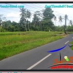 TANAH MURAH di UBUD BALI DIJUAL Untuk INVESTASI TJUB649