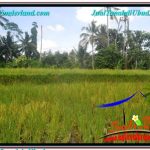 TANAH MURAH di UBUD BALI DIJUAL Untuk INVESTASI TJUB649