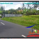 TANAH MURAH di UBUD BALI DIJUAL Untuk INVESTASI TJUB649