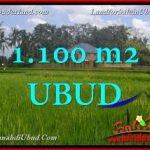 TANAH DIJUAL MURAH di UBUD TJUB651