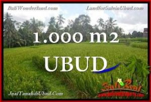 TANAH di UBUD BALI DIJUAL MURAH 1,000 m2 di Ubud Tegalalang