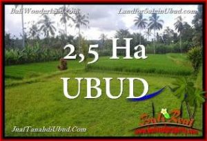 DIJUAL TANAH di UBUD Untuk INVESTASI TJUB655