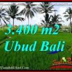 TANAH MURAH di UBUD DIJUAL Untuk INVESTASI TJUB656