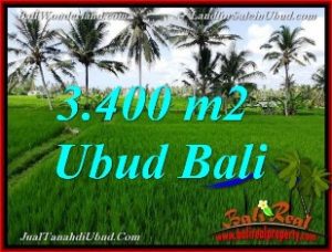 TANAH MURAH di UBUD DIJUAL Untuk INVESTASI TJUB656