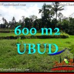 INVESTASI PROPERTY, JUAL TANAH MURAH di UBUD TJUB657