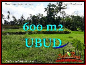 INVESTASI PROPERTY, JUAL TANAH MURAH di UBUD TJUB657