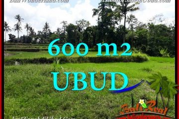 INVESTASI PROPERTY, JUAL TANAH MURAH di UBUD TJUB657