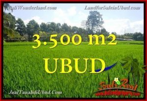 INVESTASI PROPERTI, JUAL MURAH TANAH di UBUD TJUB660