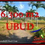 JUAL TANAH di UBUD BALI 63 Are View Tebing link Villa