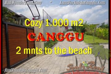 TANAH di CANGGU BALI DIJUAL 1.000 m2 View Sawah dan sungai , lingkungan villa