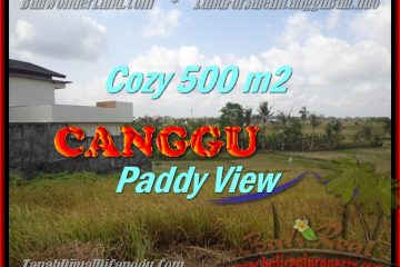 TANAH JUAL MURAH CANGGU BALI 5 Are View sawah lingkungan villa