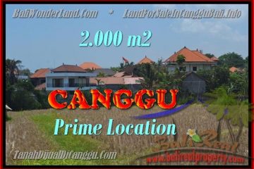 TANAH MURAH di CANGGU JUAL 2.000 m2 View sawah lingkungan villa