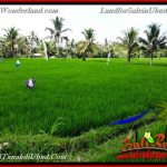 JUAL MURAH TANAH di UBUD 34 Are View Sawah link Villa