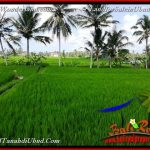 JUAL MURAH TANAH di UBUD 34 Are View Sawah link Villa