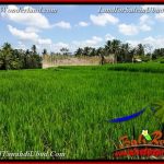 JUAL MURAH TANAH di UBUD 34 Are View Sawah link Villa