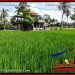 JUAL TANAH MURAH di UBUD BALI 39 Are di Ubud Pejeng