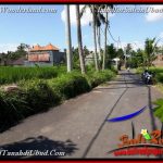 JUAL TANAH MURAH di UBUD BALI 39 Are di Ubud Pejeng