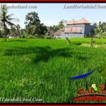 JUAL TANAH MURAH di UBUD BALI 39 Are di Ubud Pejeng