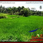 JUAL TANAH MURAH di UBUD BALI 39 Are di Ubud Pejeng