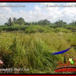 TANAH di UBUD DIJUAL MURAH 400 m2 di Ubud Gianyar