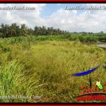 TANAH di UBUD DIJUAL MURAH 400 m2 di Ubud Gianyar