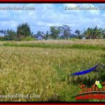 DIJUAL TANAH di UBUD BALI Untuk INVESTASI TJUB662