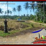 DIJUAL TANAH di UBUD BALI Untuk INVESTASI TJUB662