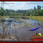 DIJUAL TANAH di UBUD BALI Untuk INVESTASI TJUB662