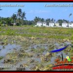 JUAL TANAH MURAH di UBUD 6 Are View Sawah link Villa