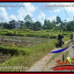 JUAL TANAH MURAH di UBUD 6 Are View Sawah link Villa