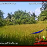 INVESTASI PROPERTY, JUAL TANAH di UBUD BALI TJUB665