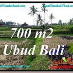 TANAH di UBUD BALI DIJUAL MURAH TJUB666