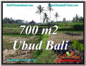 TANAH di UBUD BALI DIJUAL MURAH TJUB666