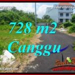 TANAH MURAH di CANGGU DIJUAL 7.28 Are di CANGGU BRAWA