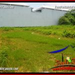 JUAL TANAH di CANGGU 728 m2 di CANGGU BRAWA