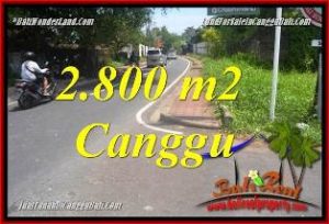 INVESTASI PROPERTY, JUAL TANAH MURAH di CANGGU BALI TJCG223