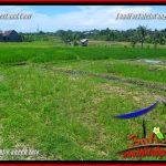 INVESTASI PROPERTI, DIJUAL MURAH TANAH di CANGGU BALI TJCG225