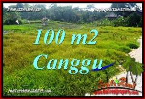 TANAH MURAH DIJUAL di CANGGU 1 Are di CANGGU BRAWA